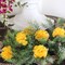 5" Gold Carnation Picks - Set of 100, 3.5" Blooms, Lifelike Artificial Flowers, Ideal for Bouquets, Wreaths & Crafts - Wedding & Holiday Décor Accent, Floral Home by Artificial Flowers